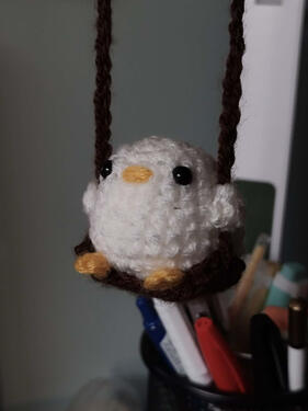 Kaczka na chuśtawce